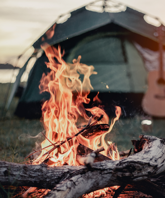 10 Essential Survival Tips for Any Emergency